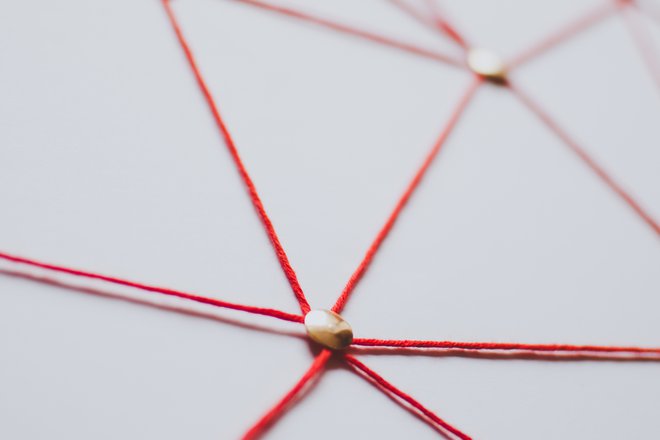 The Red Thread of Trust